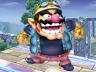 wario20